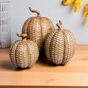  Neutral Fall Home Decor, Handmade Resin Pumpkin Set | Rattan Halloween and Autumn Decorations