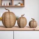  Neutral Fall Home Decor, Handmade Resin Pumpkin Set | Rattan Halloween and Autumn Decorations