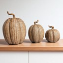  Neutral Fall Home Decor, Handmade Resin Pumpkin Set | Rattan Halloween and Autumn Decorations