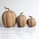  Neutral Fall Home Decor, Handmade Resin Pumpkin Set | Rattan Halloween and Autumn Decorations