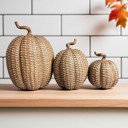  Neutral Fall Home Decor, Handmade Resin Pumpkin Set | Rattan Halloween and Autumn Decorations