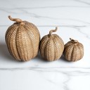  Neutral Fall Home Decor, Handmade Resin Pumpkin Set | Rattan Halloween and Autumn Decorations