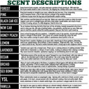  Car Air Fresheners, Hanging Christmas Freshies | Cheap Stocking Stuff Gifts | Pink Christmas | Funny Gift Ideas