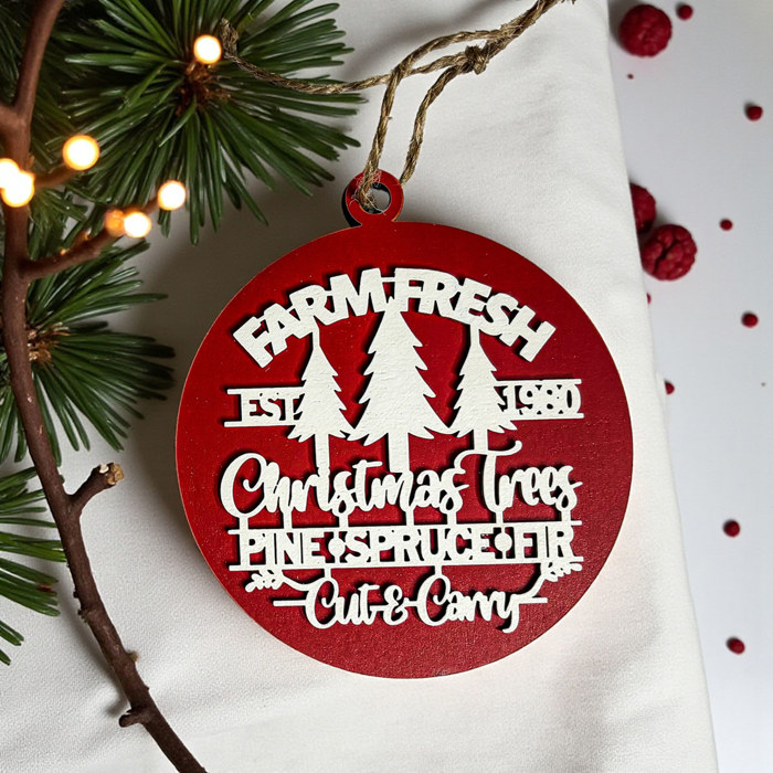 Funny Christmas Gifts for Cheap, Deck the Halls and Not Your Family, Holiday Humor, Funny Christmas Ornaments Handmade, Colorful Christmas Decorations