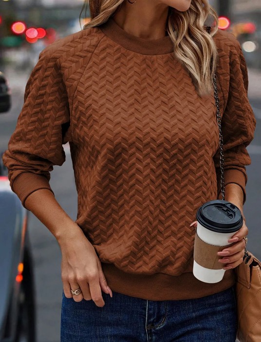 Rust Solid Textured Raglan Sleeve Pullover Sweatshirt