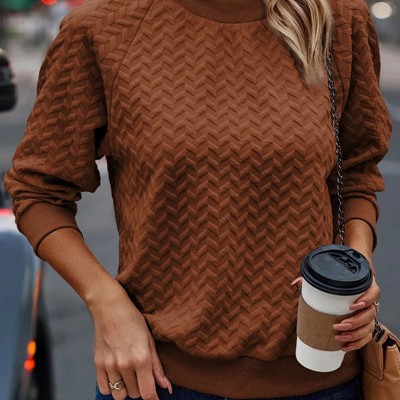 Rust Solid Textured Raglan Sleeve Pullover Sweatshirt