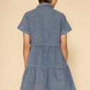 Small Button front denim dress