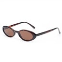 Brown Retro Oval Cat-Eye Sunglasses