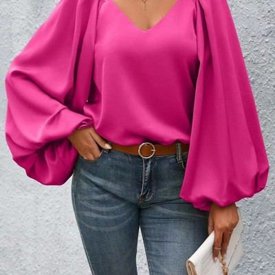 Lantern Sleeve Blouse