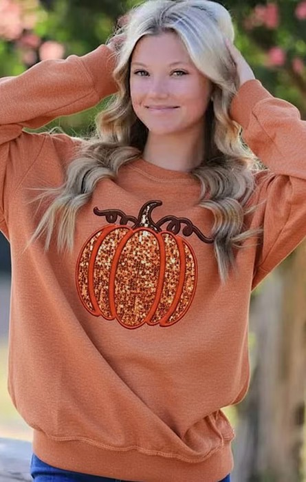 Pumpkin sweatshirt