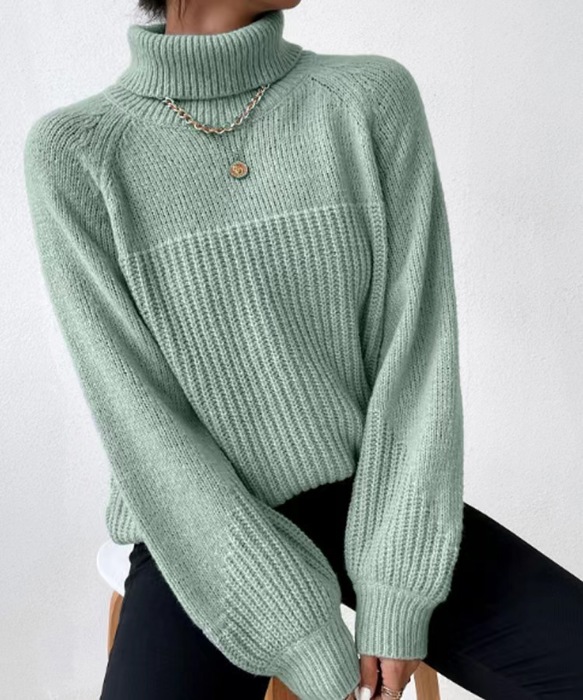 Knit turtleneck sweater