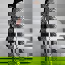  Leopard print high waist pants