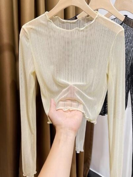 Cropped Mesh long sleeve top