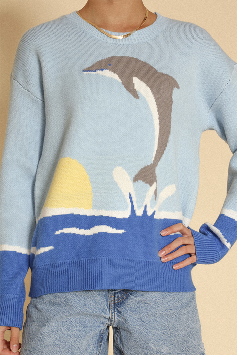 Dolphin sweater