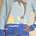 XL Dolphin sweater