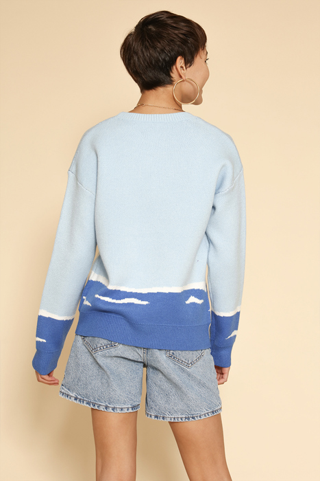 Dolphin sweater