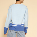  Dolphin sweater