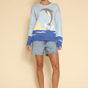  Dolphin sweater