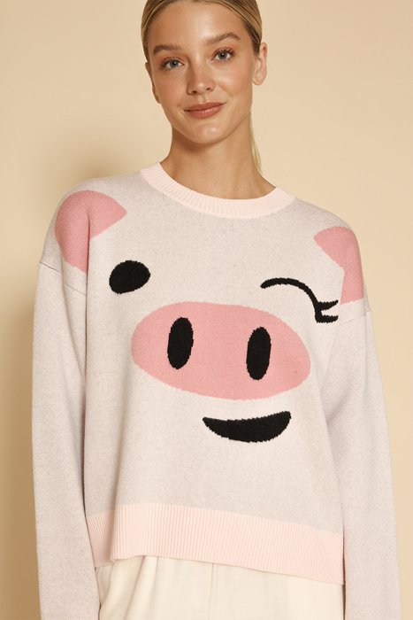 Pig sweater