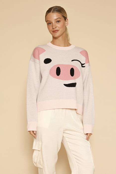 Pig sweater