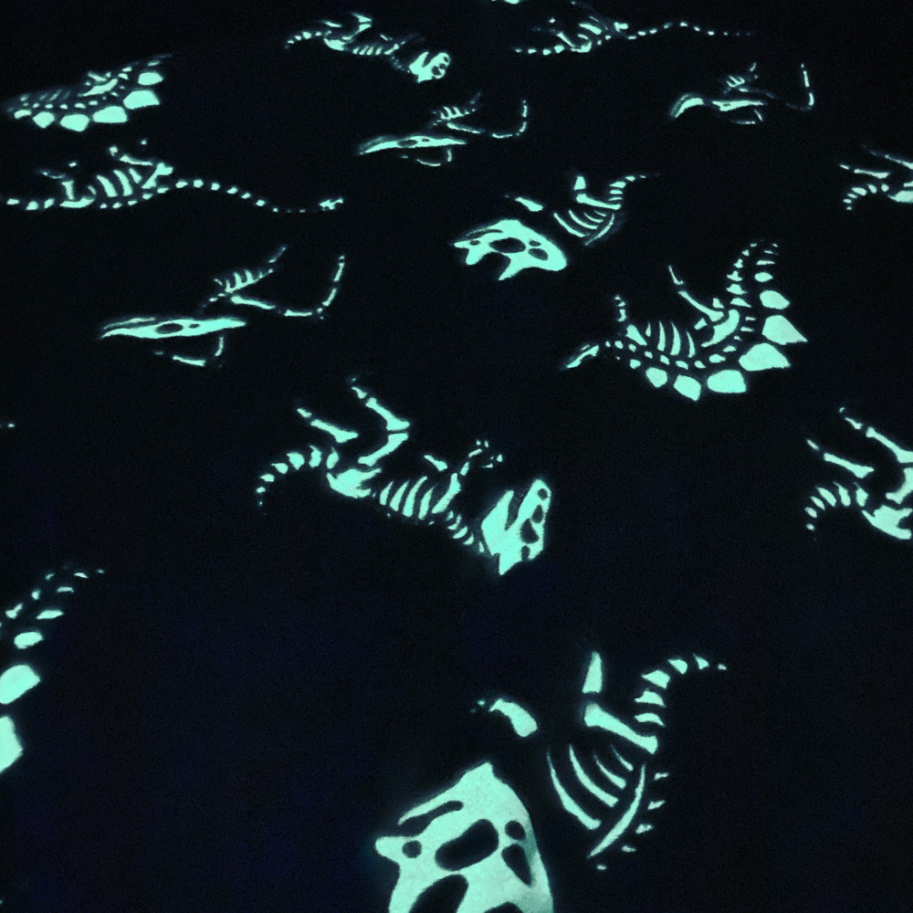 Glow in the Dark Dino Blanket