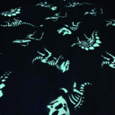  Glow in the Dark Dino Blanket