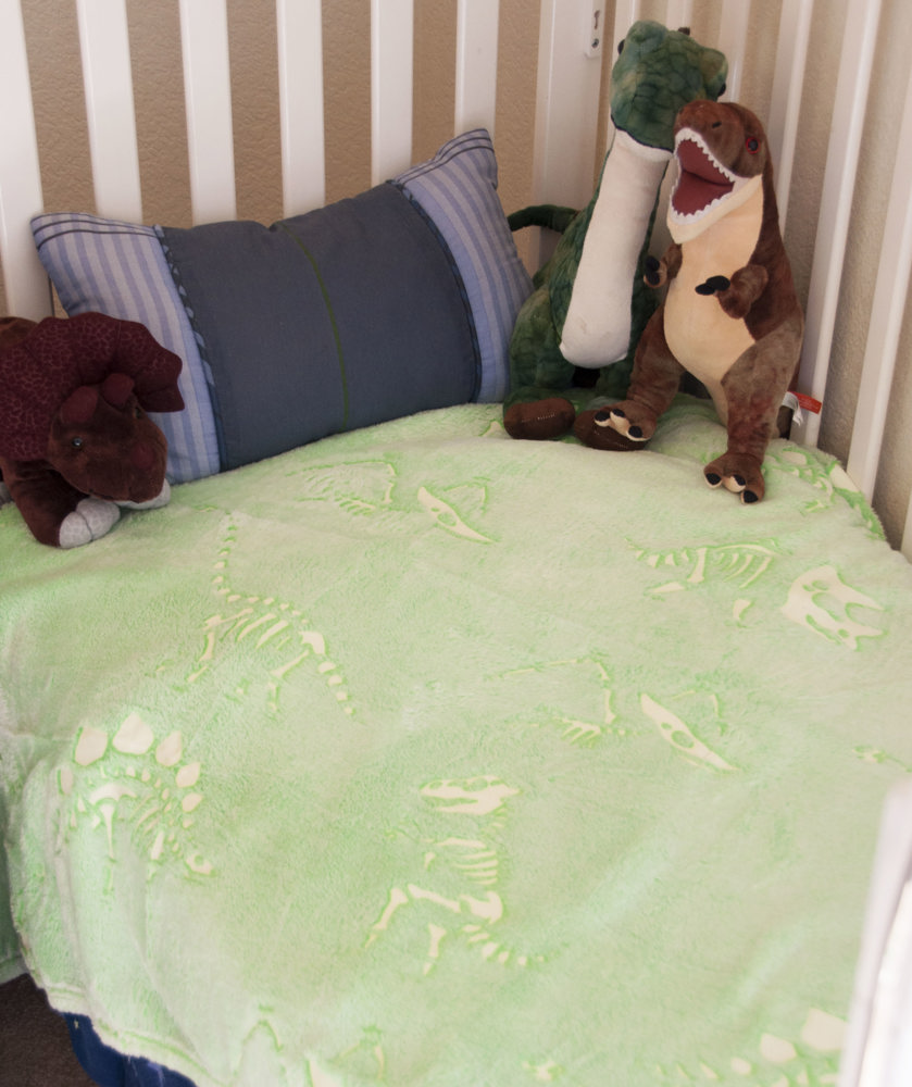 Glow in the Dark Dino Blanket