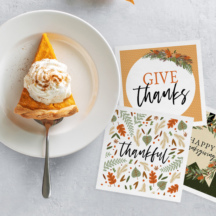 Modern Farmhouse Thanksgiving Napkins / 48 Cocktail Napkins / 4 Rustic Autumn Designs / 4 3/4" x 4 3/4" Fall Harvest Season Beverage 3 Ply Napkin Set / Made In The USA