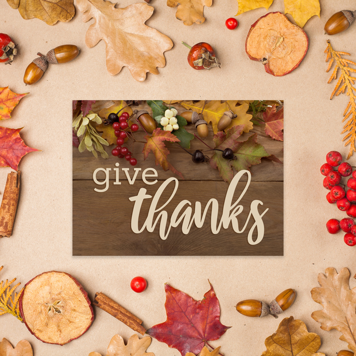 Rustic Thanksgiving Cards / 24 Heartfelt Autumn Note Cards / 4 5/8" x 6 1/4" Classic Fall Greeting Cards / 4 Nostalgic Table Feast Card Designs