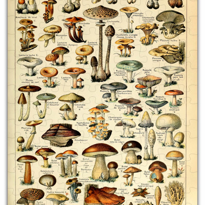 Mushroom Species Chart Wood Puzzle 160 PCS
