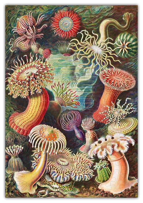 Haeckels Ocean Plants Wood Puzzle 160PCS