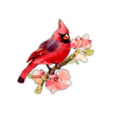 Cardinal Magnet
