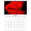 Anthurium 2026 Wall Calendar - Botanical Photography - 12-Month Bloom Series - 8.5x11 Wire-O Hanging Planner
