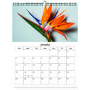 Bird Of Paradise 2026 Wall Calendar - Botanical Photography - 12-Month Bloom Series - 8.5x11 Wire-O Hanging Planner
