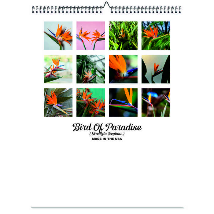 2026 Wall Calendar - Botanical Photography - 12-Month Bloom Series - 8.5x11 Wire-O Hanging Planner