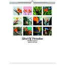 Bird Of Paradise 2026 Wall Calendar - Botanical Photography - 12-Month Bloom Series - 8.5x11 Wire-O Hanging Planner