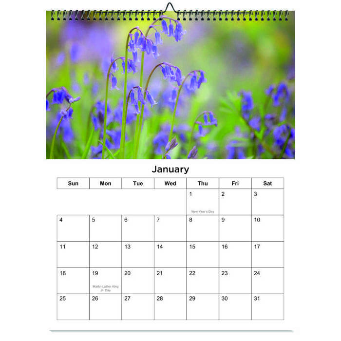 2026 Wall Calendar - Botanical Photography - 12-Month Bloom Series - 8.5x11 Wire-O Hanging Planner