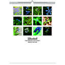 Bluebell 2026 Wall Calendar - Botanical Photography - 12-Month Bloom Series - 8.5x11 Wire-O Hanging Planner