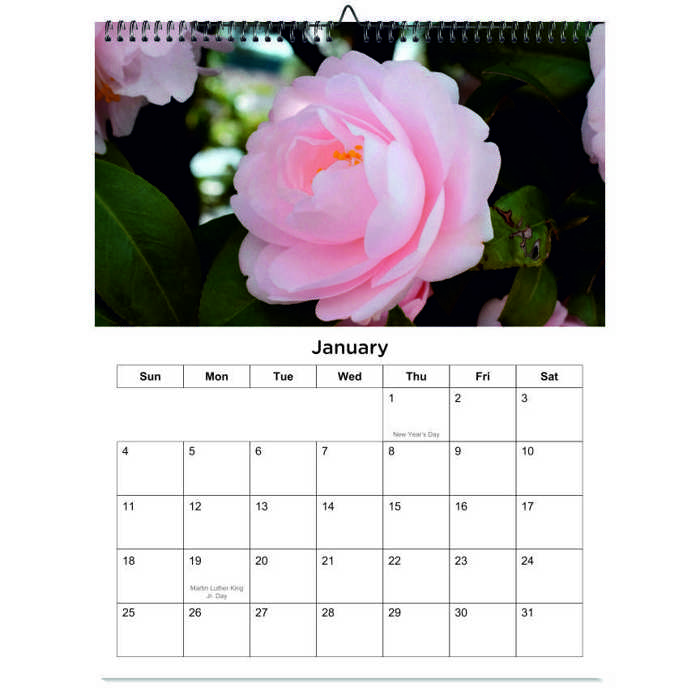 2026 Wall Calendar - Botanical Photography - 12-Month Bloom Series - 8.5x11 Wire-O Hanging Planner