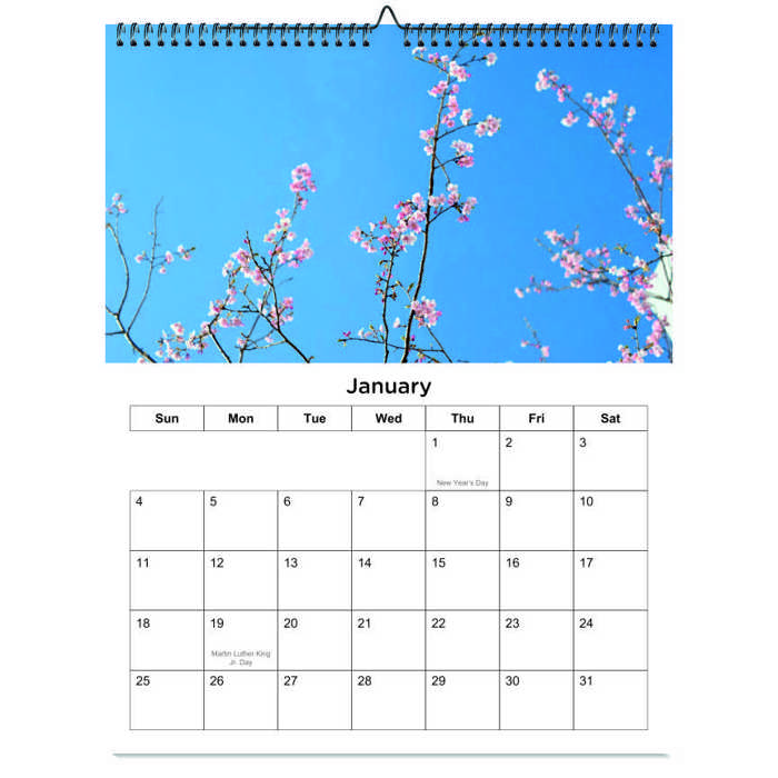 2026 Wall Calendar - Botanical Photography - 12-Month Bloom Series - 8.5x11 Wire-O Hanging Planner