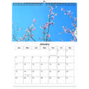 Cherry Blossom 2026 Wall Calendar - Botanical Photography - 12-Month Bloom Series - 8.5x11 Wire-O Hanging Planner