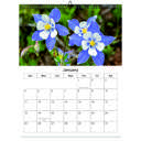 Columbine 2026 Wall Calendar - Botanical Photography - 12-Month Bloom Series - 8.5x11 Wire-O Hanging Planner