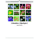 Columbine 2026 Wall Calendar - Botanical Photography - 12-Month Bloom Series - 8.5x11 Wire-O Hanging Planner