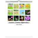 Cosmos 2026 Wall Calendar - Botanical Photography - 12-Month Bloom Series - 8.5x11 Wire-O Hanging Planner