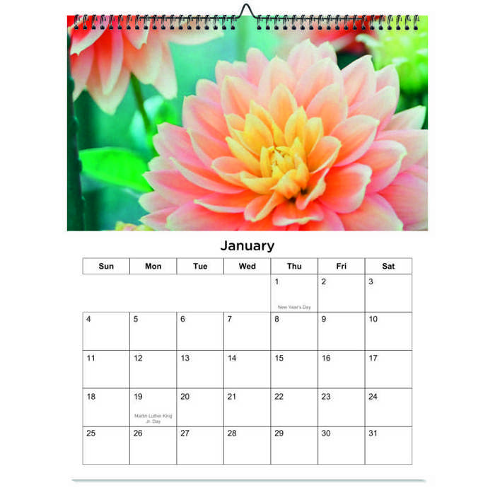 2026 Wall Calendar - Botanical Photography - 12-Month Bloom Series - 8.5x11 Wire-O Hanging Planner