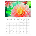 Dahlia 2026 Wall Calendar - Botanical Photography - 12-Month Bloom Series - 8.5x11 Wire-O Hanging Planner