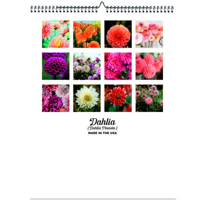 2026 Wall Calendar - Botanical Photography - 12-Month Bloom Series - 8.5x11 Wire-O Hanging Planner