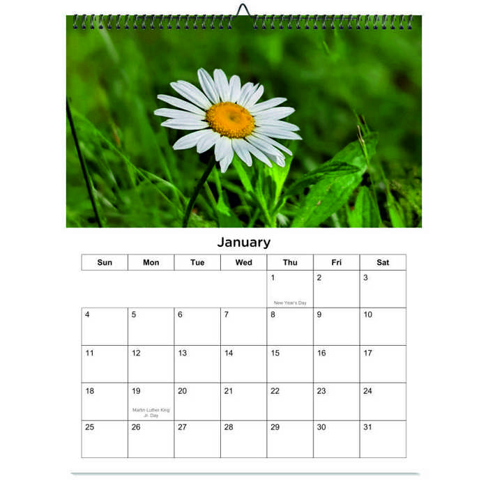 2026 Wall Calendar - Botanical Photography - 12-Month Bloom Series - 8.5x11 Wire-O Hanging Planner