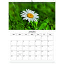 Daisy 2026 Wall Calendar - Botanical Photography - 12-Month Bloom Series - 8.5x11 Wire-O Hanging Planner