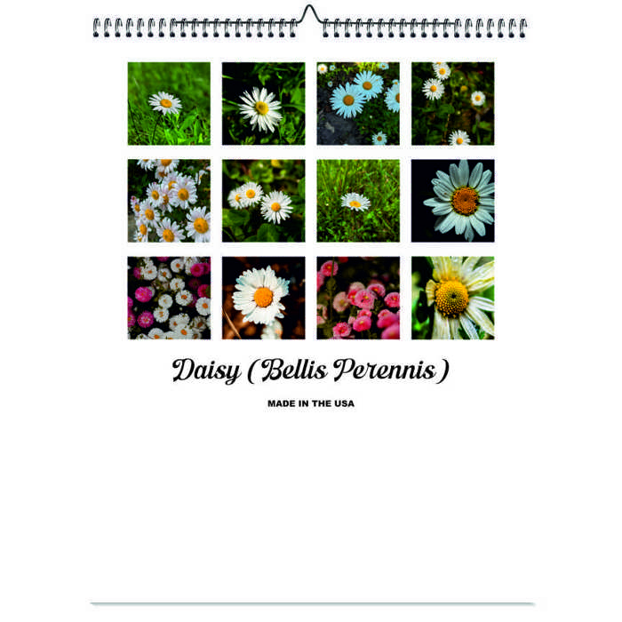 2026 Wall Calendar - Botanical Photography - 12-Month Bloom Series - 8.5x11 Wire-O Hanging Planner